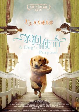 美女精品自拍一二三四